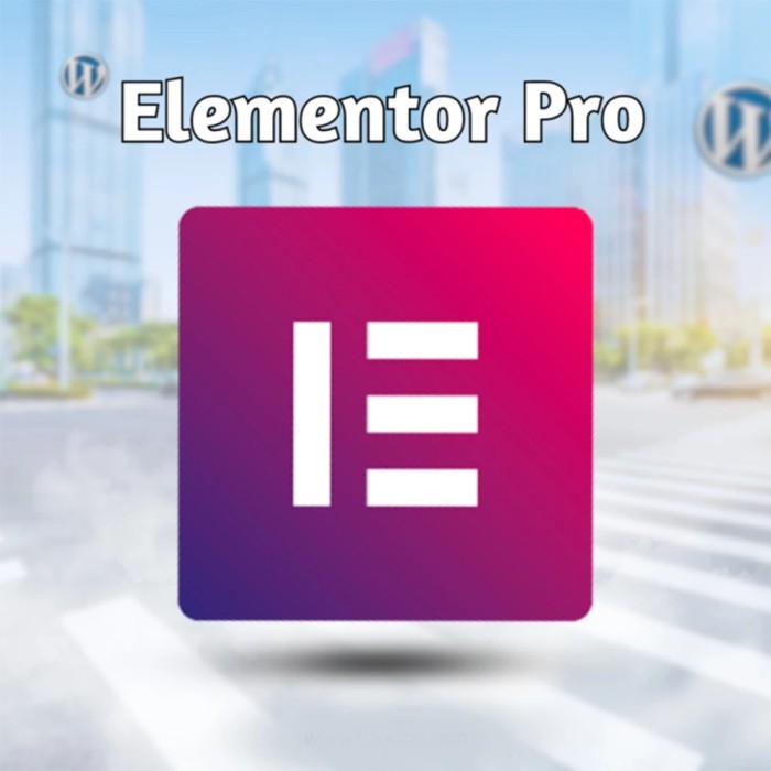 elementor-pro